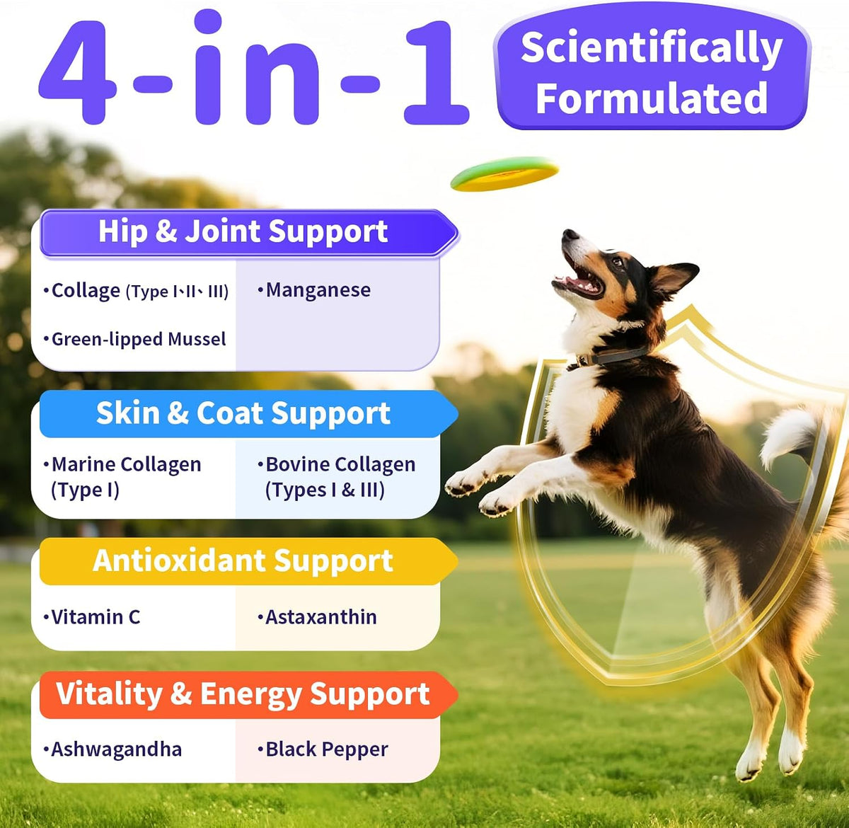12-in-1 Collagen for Dogs - Triple Liquid Collagen for Dogs