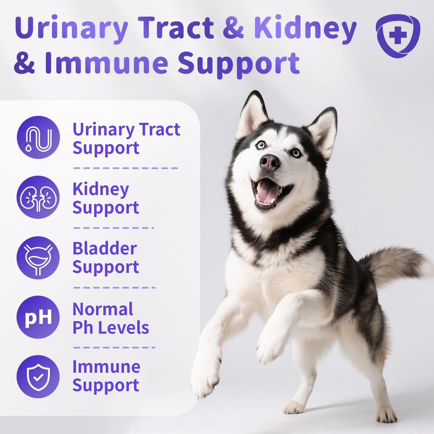 Cranberry Supplement for Dog UTI Treatment - Bladder Control - Urinary Tract Health + D-Mannose for Bladder Stones, Incontinence & Kidney & Immune Support - Bacon Flavor - 90 Count Soft Chews