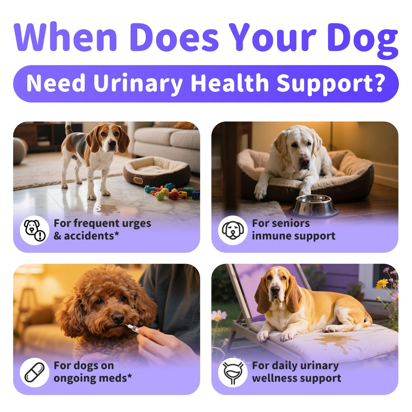 Cranberry Supplement for Dog UTI Treatment - Bladder Control - Urinary Tract Health + D-Mannose for Bladder Stones, Incontinence & Kidney & Immune Support - Bacon Flavor - 90 Count Soft Chews