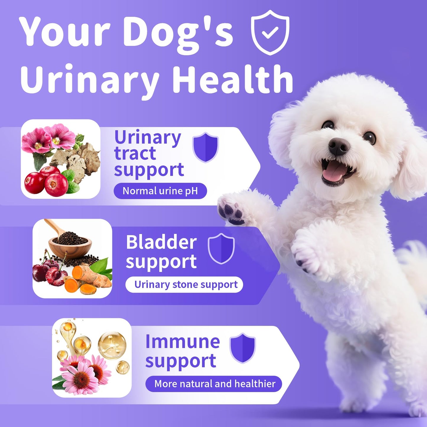 Cranberry Supplement for Dog UTI Treatment - Bladder Control - Urinary Tract Health + D-Mannose for Bladder Stones, Incontinence & Kidney & Immune Support - Bacon Flavor - 90 Count Soft Chews
