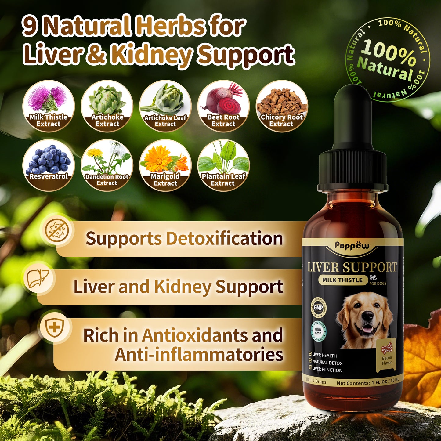 Liver Support Liquid Supplement For Dogs Bacon Flavor 30ml 2 Packs