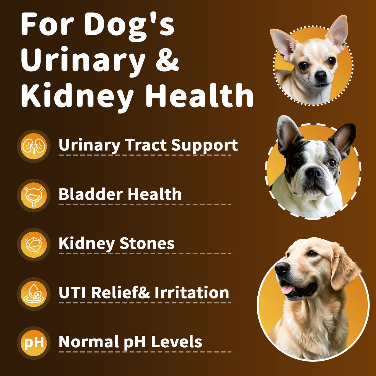 Urinary Tract Support Liquid Supplement For Dogs Chicken Flavor 60ml