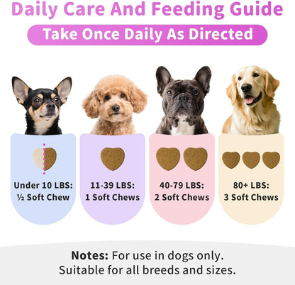 Itch Relief for Dogs - Turmeric Supplements for Itching Skin Comfort & Coat Health & Seasonal Allergy Care, Immune Support Supplement with Omega-3 Fish Oil, Biotin - Chicken Flavor - 90 Count