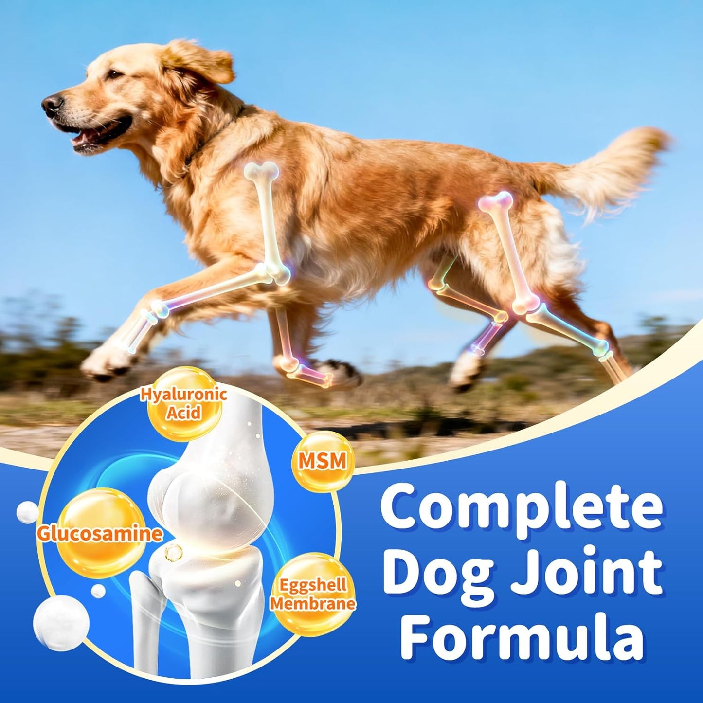 Senior Dog Liver & Joint Supplement – Same, Milk Thistle (Silybin), Glucosamine, MSM for Liver Health Detox, Mobility, Joint Pain Relief, Cognitive & Vitality Support, Chicken Flavor, 90Ct