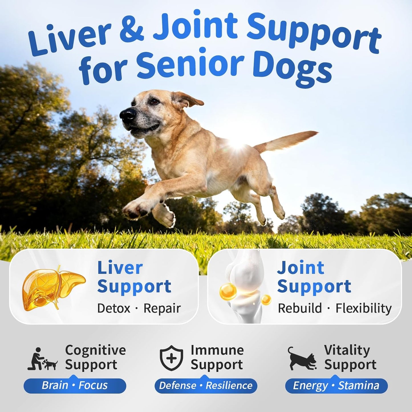 Senior Dog Liver & Joint Supplement – Same, Milk Thistle (Silybin), Glucosamine, MSM for Liver Health Detox, Mobility, Joint Pain Relief, Cognitive & Vitality Support, Chicken Flavor, 90Ct