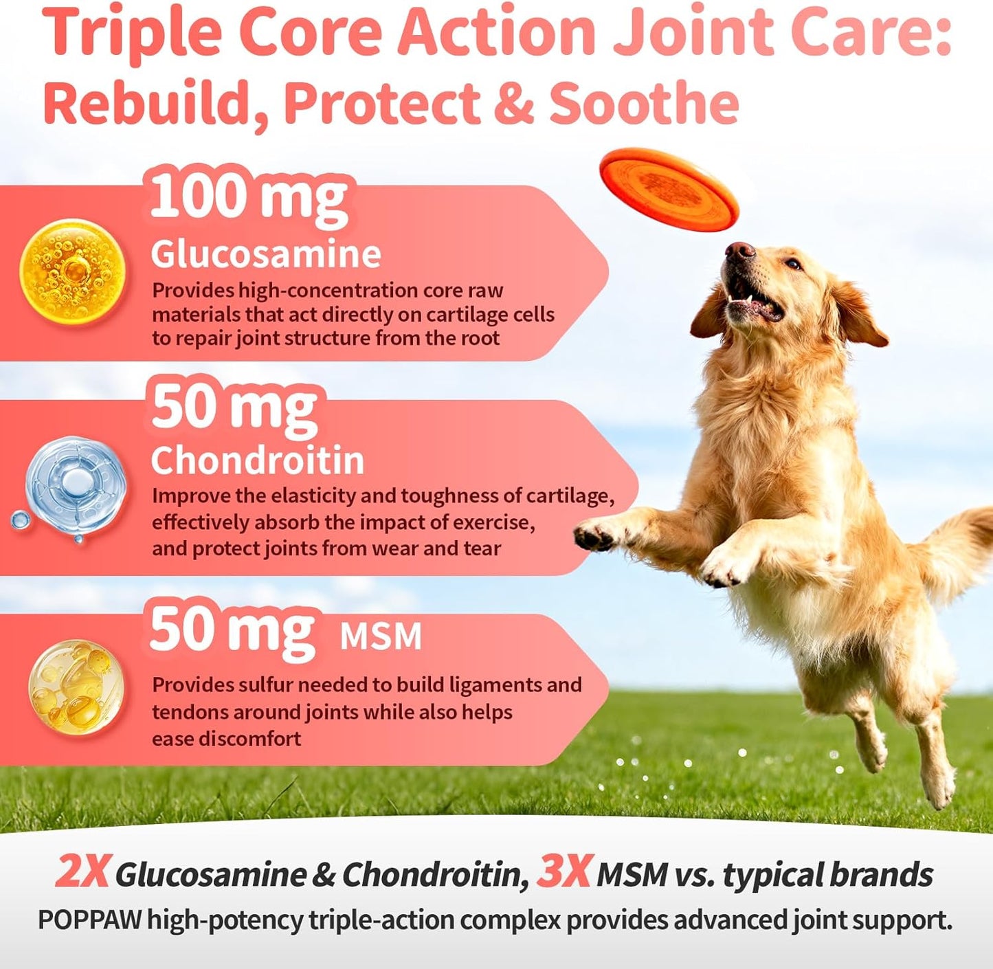 Poppaw Advanced 10-in-1 Dog Joint Supplement – Glucosamine Liquid for All Breeds