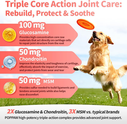 Poppaw Advanced 10-in-1 Dog Joint Supplement – Glucosamine Liquid for All Breeds