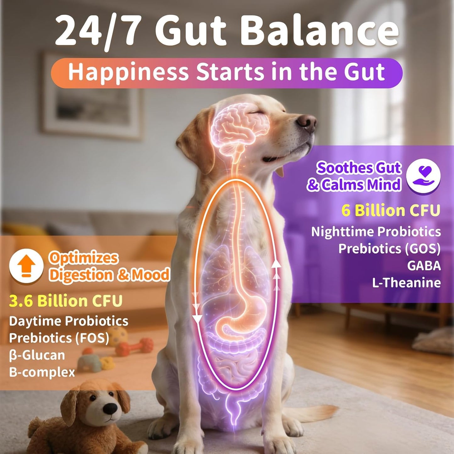 25-in-1 Dog Vitamins and Supplements - Day & Night 2 Pack | Chicken Flavor