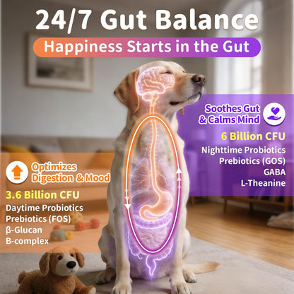 25-in-1 Dog Vitamins and Supplements - Day & Night 2 Pack | Chicken Flavor