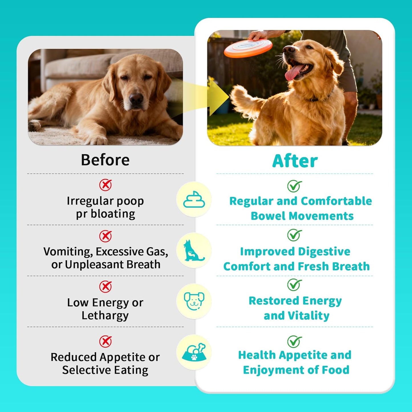 Probiotics for Dogs, Digestive Enzymes & Pumpkin Fiber for Gut Health and Bowel Support, Dog Supplement for Gas Relief & Constipation, 10B CFU with 5 Prebiotics & 5 Enzymes, 90 Count Chicken Flavor