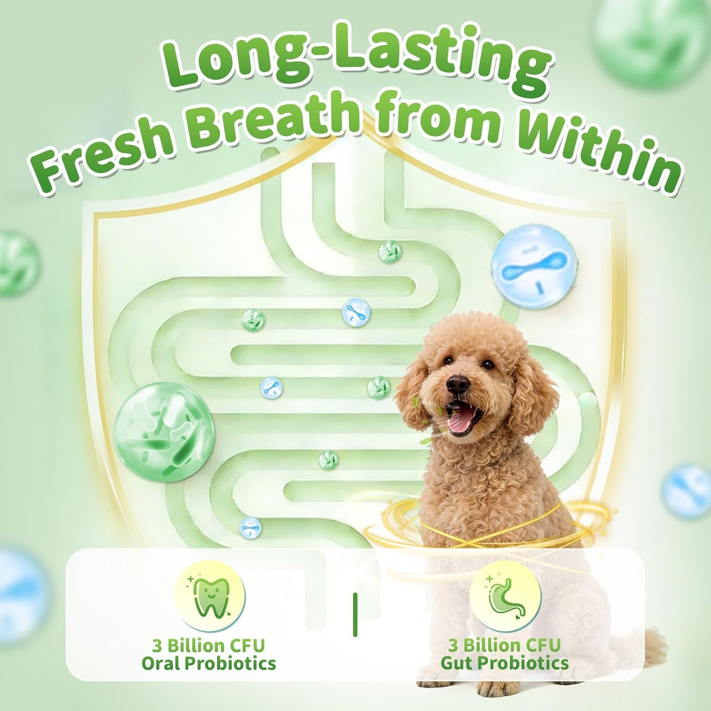 Dog Dental Powder, Teeth Cleaning Powder, Plaque & Tartar Off, Fresh Breath Support, No Brushing Oral Care, Mint Chicken Flavor, 75 Servings