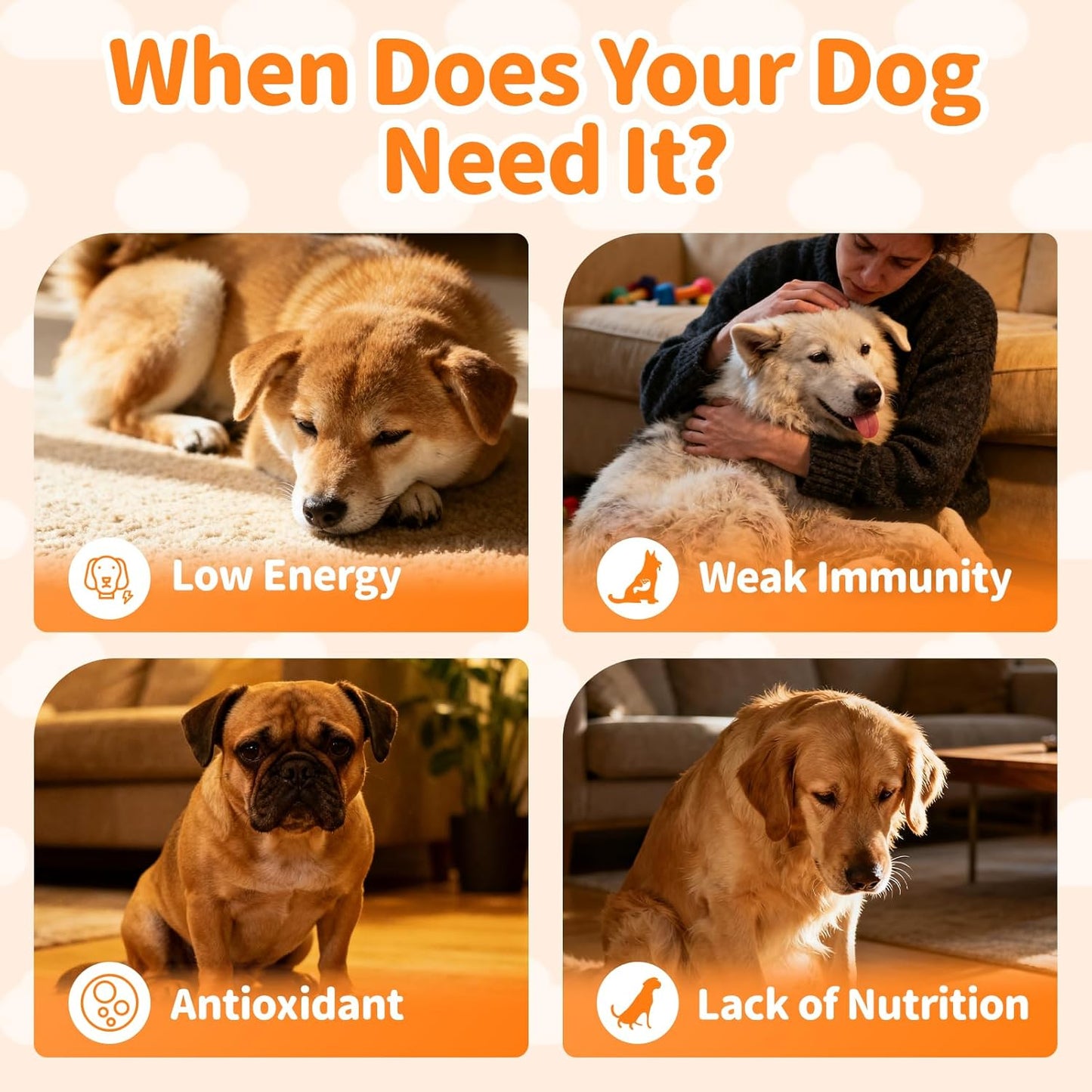 Dog Vitamins and Supplements for Daily Energy - Chicken Flavor