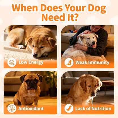 Dog Vitamins and Supplements for Daily Energy - Chicken Flavor