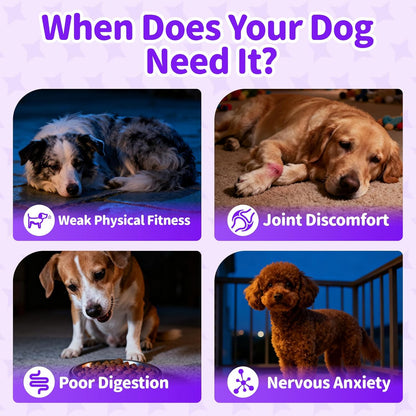 Dog Vitamins and Supplements for Nighttime Repair | Dog Multivitamin Powder - Chicken Flavor