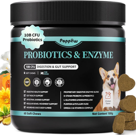 Probiotics for Dogs, Digestive Enzymes & Pumpkin Fiber for Gut Health and Bowel Support, Dog Supplement for Gas Relief & Constipation, 10B CFU with 5 Prebiotics & 5 Enzymes, 90 Count Chicken Flavor