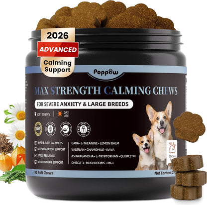 Calming Chews for Dogs - Advanced Calming Treats for Dogs Anxiety, Stress, Separation, & Thunder, Relaxation with Ashwagandha & L-Theanine, Non-Drowsy Alternative to Melatonin, Chicken Flavor, 45Ct