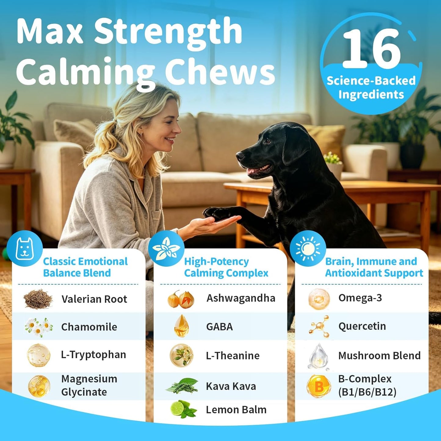 Calming Chews for Dogs - Advanced Calming Treats for Dogs Anxiety, Stress, Separation, & Thunder, Relaxation with Ashwagandha & L-Theanine, Non-Drowsy Alternative to Melatonin, Bacon Flavor, 90Ct