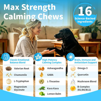Calming Chews for Dogs - Advanced Calming Treats for Dogs Anxiety, Stress, Separation, & Thunder, Relaxation with Ashwagandha & L-Theanine, Non-Drowsy Alternative to Melatonin, Chicken Flavor, 45Ct