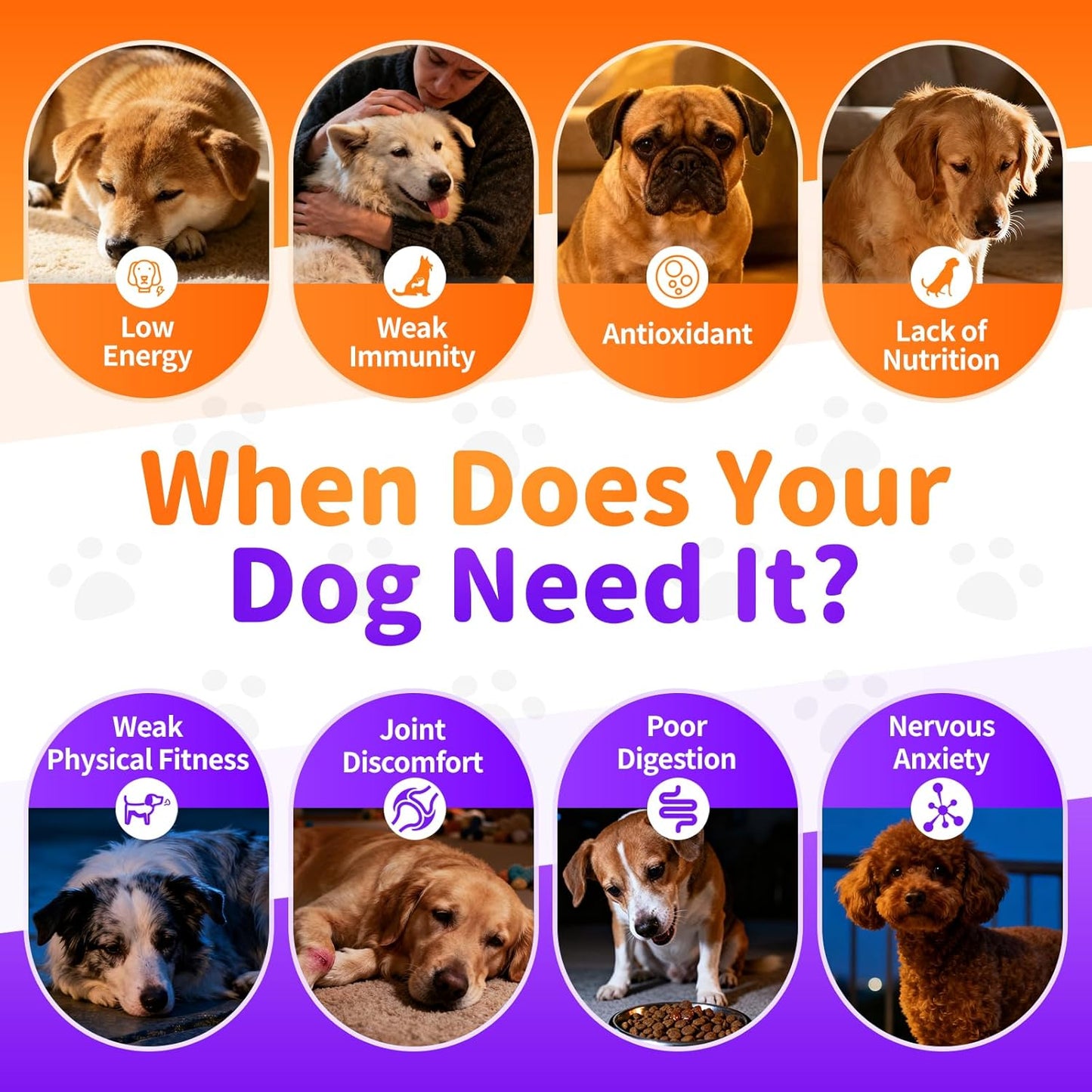 25-in-1 Dog Vitamins and Supplements - Day & Night 2 Pack | Chicken Flavor