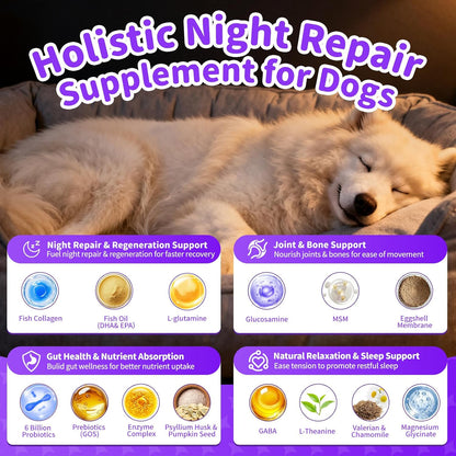 Dog Vitamins and Supplements for Nighttime Repair | Dog Multivitamin Powder - Chicken Flavor