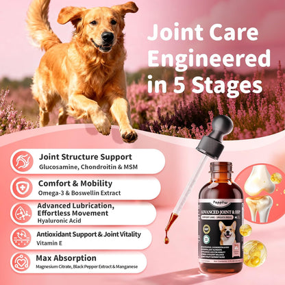 Poppaw Advanced 10-in-1 Dog Joint Supplement – Glucosamine Liquid for All Breeds