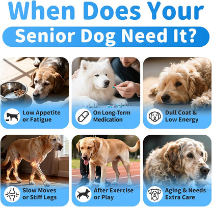 Senior Dog Liver & Joint Supplement – Same, Milk Thistle (Silybin), Glucosamine, MSM for Liver Health Detox, Mobility, Joint Pain Relief, Cognitive & Vitality Support, Chicken Flavor, 90Ct