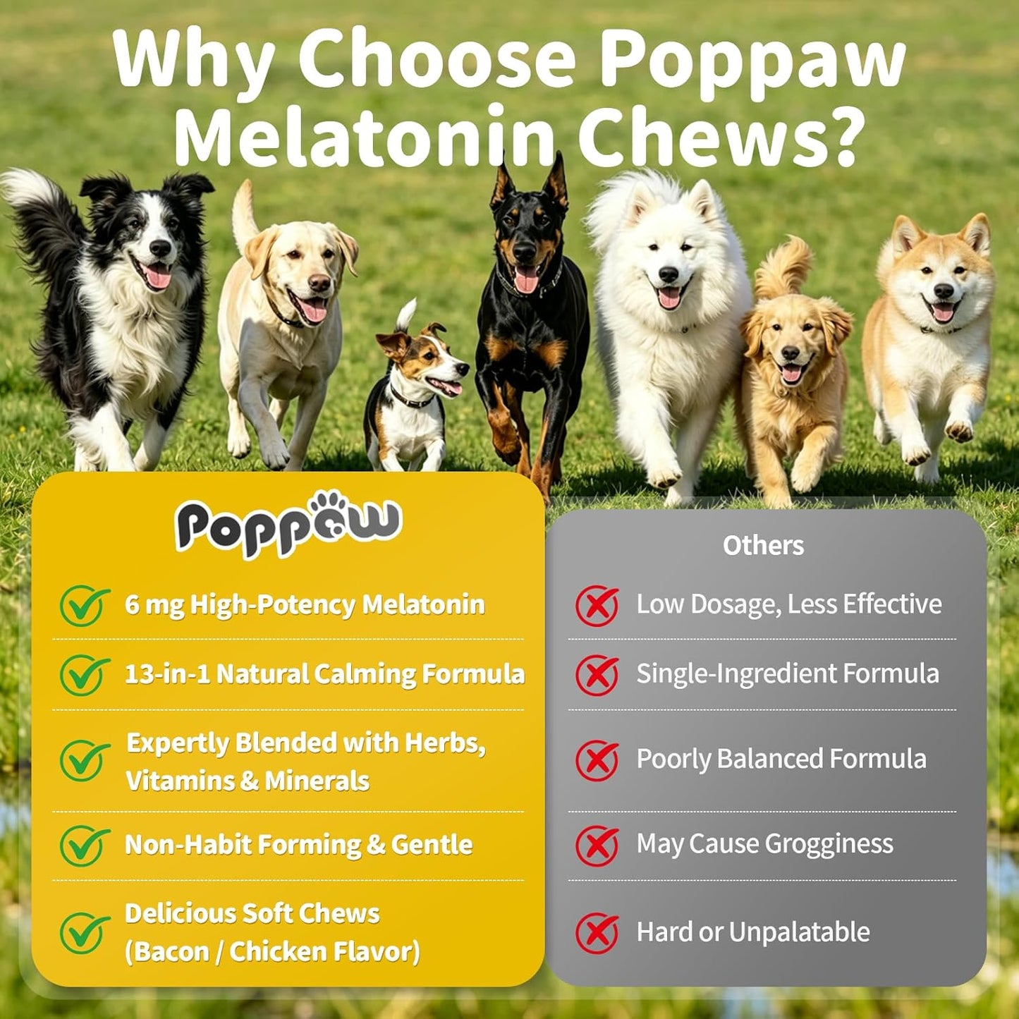 Melatonin for Dogs - Advanced Dog Calming Chews for Restful Sleep & Emotional Support, Calming Treats for Dogs Stress Anxiety Support - Separation, Thunder, Fireworks, Chicken Flavor