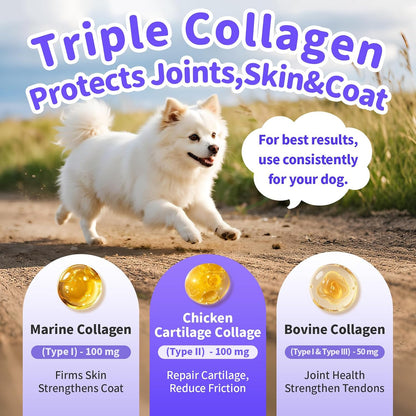 12-in-1 Collagen for Dogs - Triple Liquid Collagen for Dogs