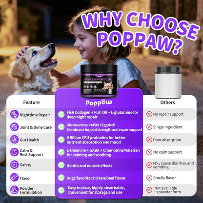 Dog Vitamins and Supplements for Nighttime Repair | Dog Multivitamin Powder - Chicken Flavor