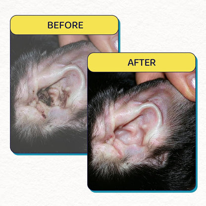 Dog Ear Cleaner, Natural Ear Drops for Dogs 60-Day Servings
