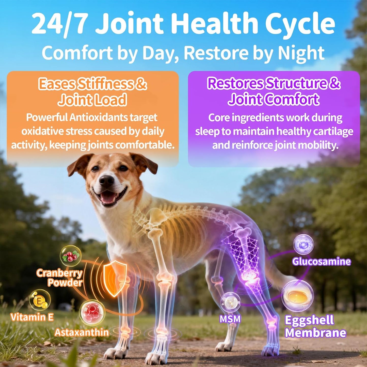 25-in-1 Dog Vitamins and Supplements - Day & Night 2 Pack | Chicken Flavor