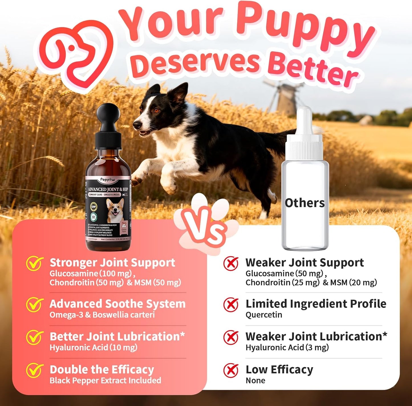Poppaw Advanced 10-in-1 Dog Joint Supplement – Glucosamine Liquid for All Breeds
