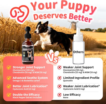 Poppaw Advanced 10-in-1 Dog Joint Supplement – Glucosamine Liquid for All Breeds