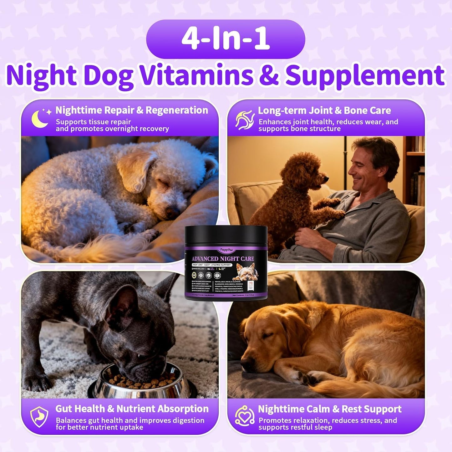Dog Vitamins and Supplements for Nighttime Repair | Dog Multivitamin Powder - Chicken Flavor