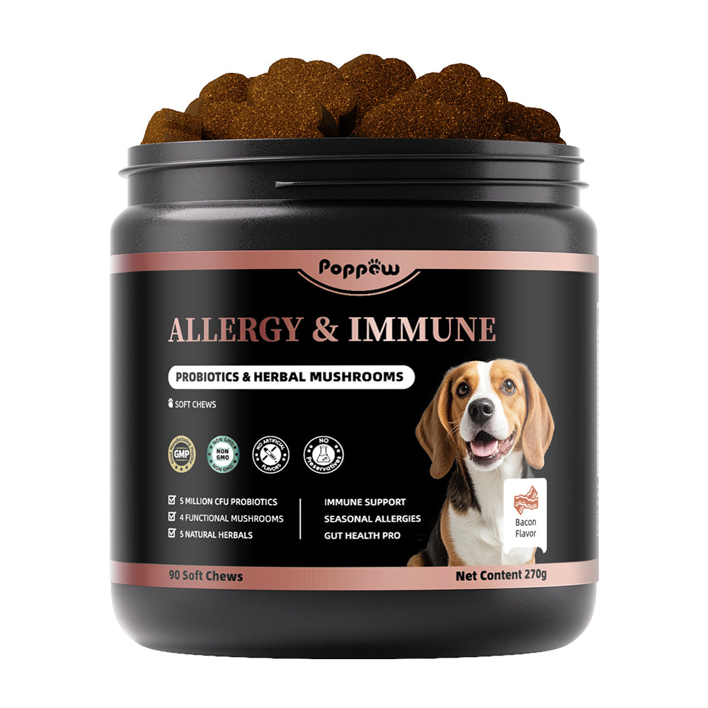 Dog Allergy Chews, Probiotics Supplement for Dogs Seasonal Allergies & Immune Support & Gut Health Pro, Mushroom Soft Chews for Joint, Energy, Itching Skin Support, Bacon Flavor - 90 Count