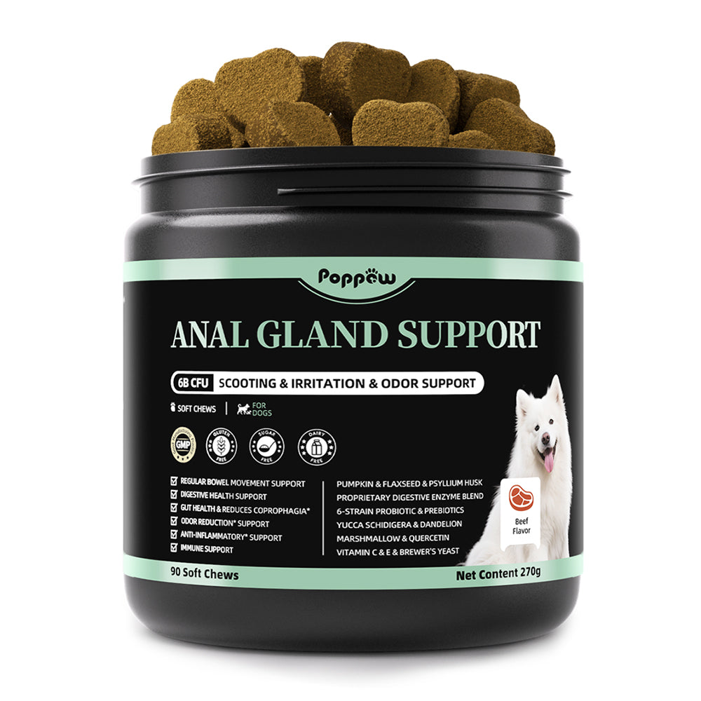 Dog Probiotics & Digestive Enzymes – Pumpkin Fiber Chews for Gut Health, Diarrhea & Upset Stomach Relief, Gas & Stool Support, Beef Flavor Soft Chews – 90 Count
