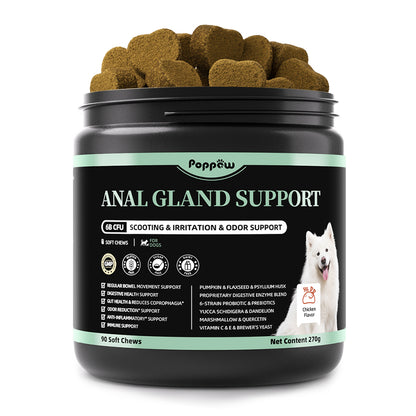 Dog Probiotics & Digestive Enzymes – Pumpkin Fiber Chews for Gut Health, Diarrhea & Upset Stomach Relief, Gas & Stool Support, Beef Flavor Soft Chews – 90 Count