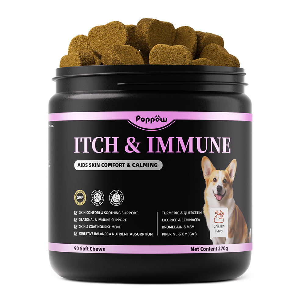 Itch Relief for Dogs - Turmeric Supplements for Itching Skin Comfort & Coat Health & Seasonal Allergy Care, Immune Support Supplement with Omega-3 Fish Oil, Biotin - Chicken Flavor - 90 Count