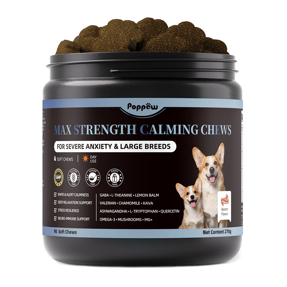 Calming Chews for Dogs - Advanced Calming Treats for Dogs Anxiety, Stress, Separation, & Thunder, Relaxation with Ashwagandha & L-Theanine, Non-Drowsy Alternative to Melatonin, Bacon Flavor, 90Ct