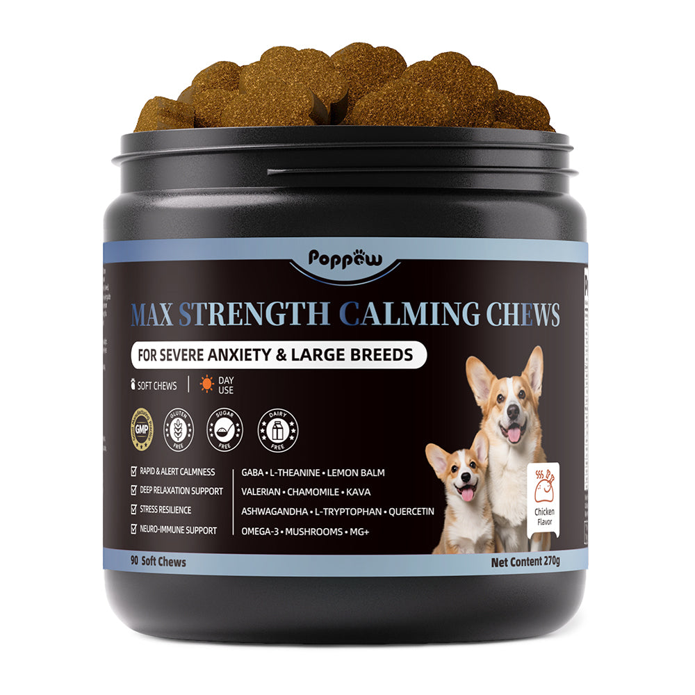 Calming Chews for Dogs - Advanced Calming Treats for Dogs Anxiety, Stress, Separation, & Thunder, Relaxation with Ashwagandha & L-Theanine, Non-Drowsy Alternative to Melatonin, Chicken Flavor, 45Ct