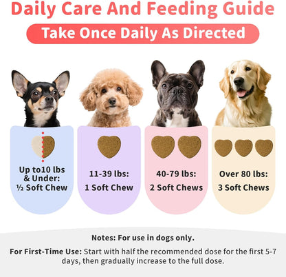 Salmon Oil for Dogs Skin & Coat, 13 in 1 Wild Alaskan Fish Oil for Dogs