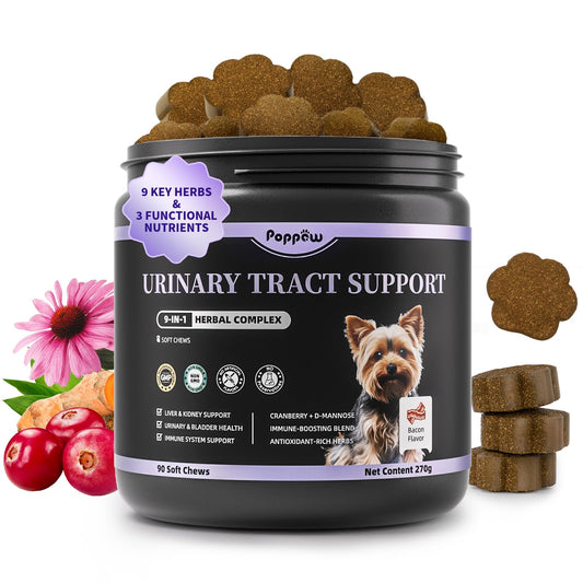 Cranberry Supplement for Dog UTI Treatment - Bladder Control - Urinary Tract Health + D-Mannose for Bladder Stones, Incontinence & Kidney & Immune Support - Bacon Flavor - 90 Count Soft Chews