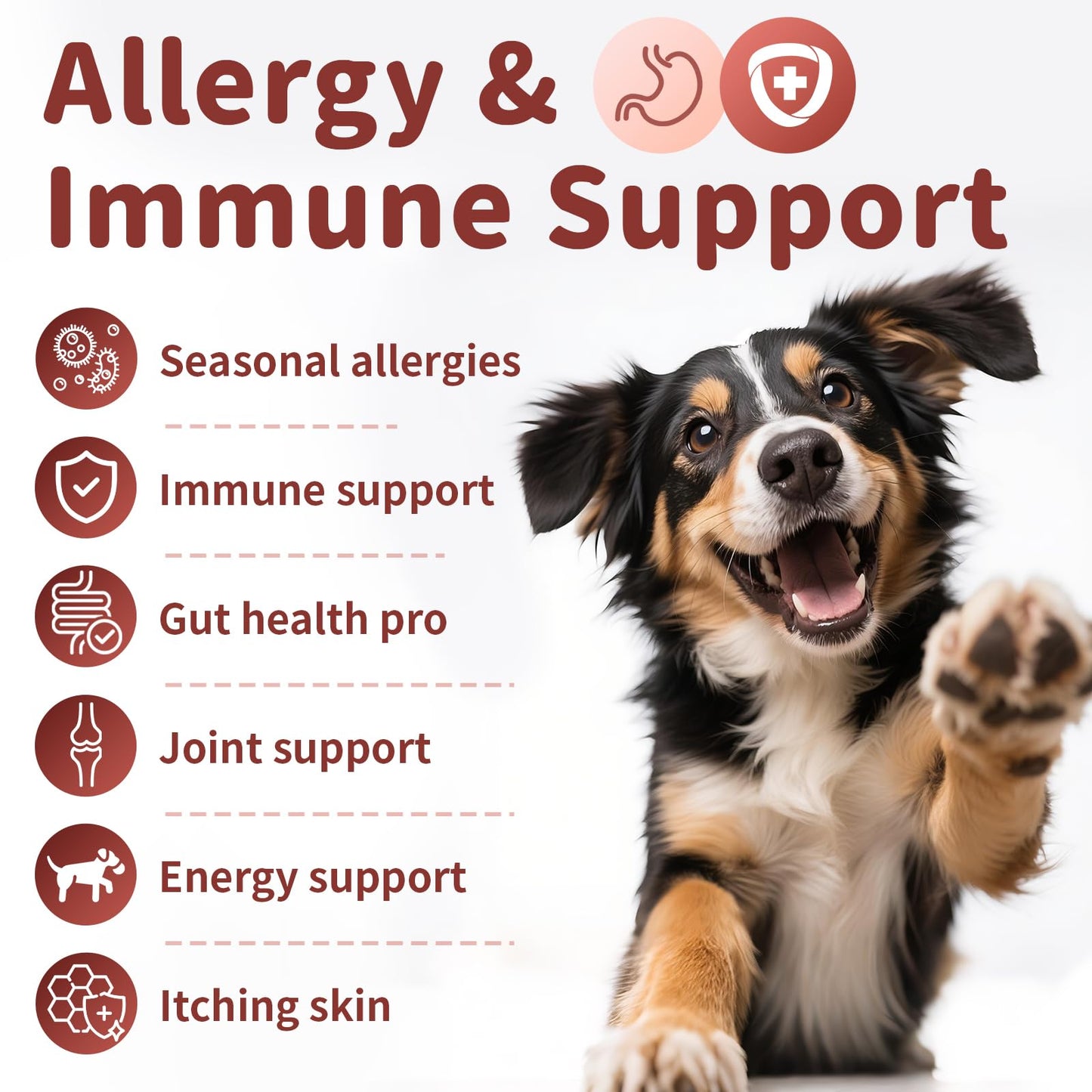 Dog Allergy Chews, Probiotics Supplement for Dogs Seasonal Allergies & Immune Support & Gut Health Pro, Mushroom Soft Chews for Joint, Energy, Itching Skin Support, Chicken Flavor - 90 Count