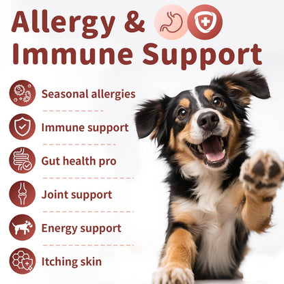 Dog Allergy Chews, Probiotics Supplement for Dogs Seasonal Allergies & Immune Support & Gut Health Pro, Mushroom Soft Chews for Joint, Energy, Itching Skin Support, Chicken Flavor - 90 Count