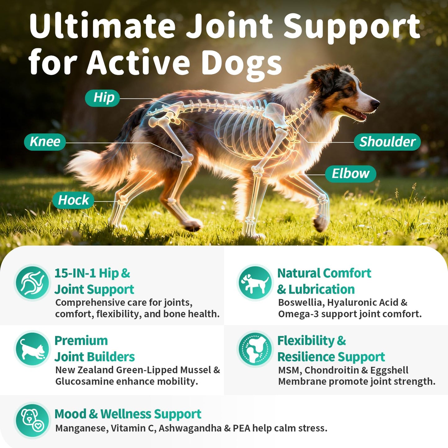 Advanced Dog Joint Supplement – 15-in-1 Glucosamine for Dogs with Chondroitin, MSM & Green Lipped Mussel – Hip & Joint Pain Relief Mobility Chews, Chicken Flavor, 90Ct Breeds