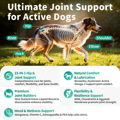 Advanced Dog Joint Supplement – 15-in-1 Glucosamine for Dogs with Chondroitin, MSM & Green Lipped Mussel – Hip & Joint Pain Relief Mobility Chews, Chicken Flavor, 90Ct Breeds