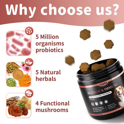 Dog Allergy Chews, Probiotics Supplement for Dogs Seasonal Allergies & Immune Support & Gut Health Pro, Mushroom Soft Chews for Joint, Energy, Itching Skin Support, Chicken Flavor - 90 Count