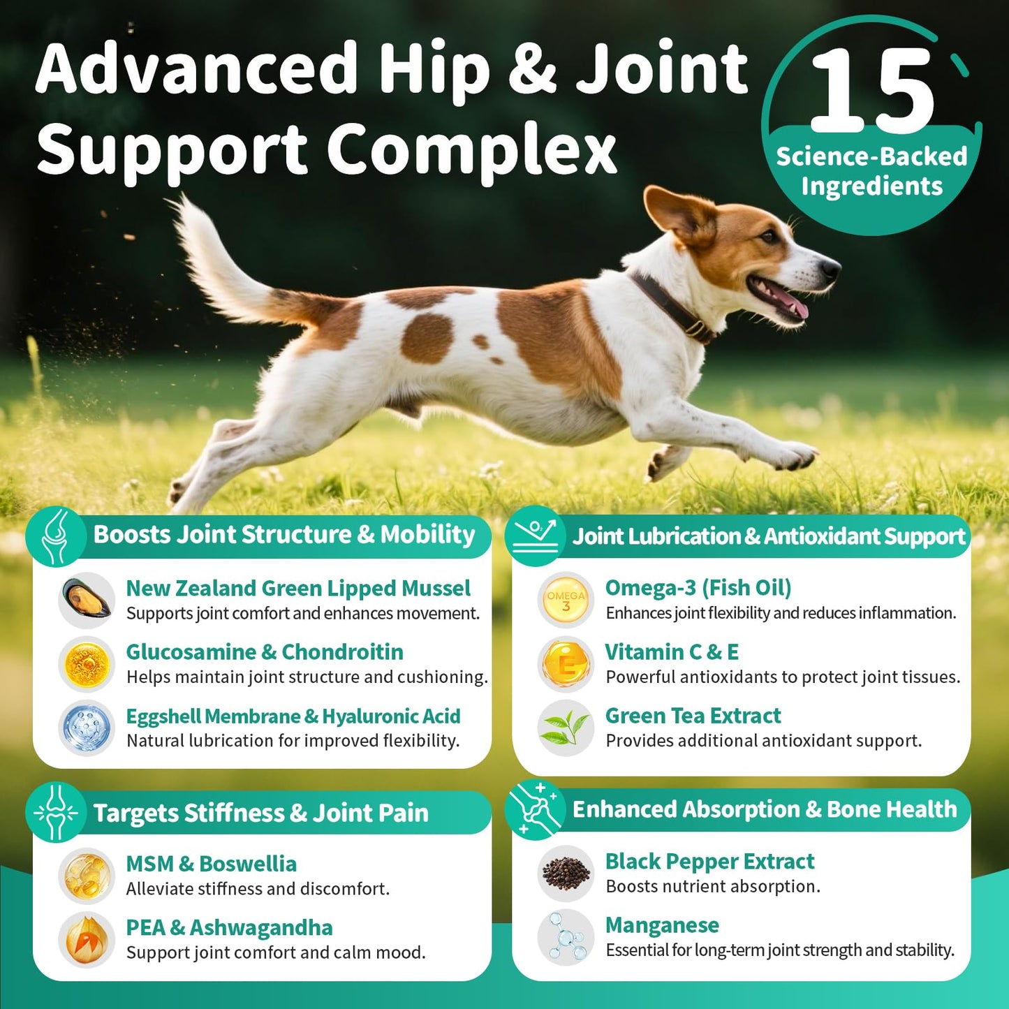 Advanced Dog Joint Supplement – 15-in-1 Glucosamine for Dogs with Chondroitin, MSM & Green Lipped Mussel – Hip & Joint Pain Relief Mobility Chews, Chicken Flavor, 90Ct Breeds