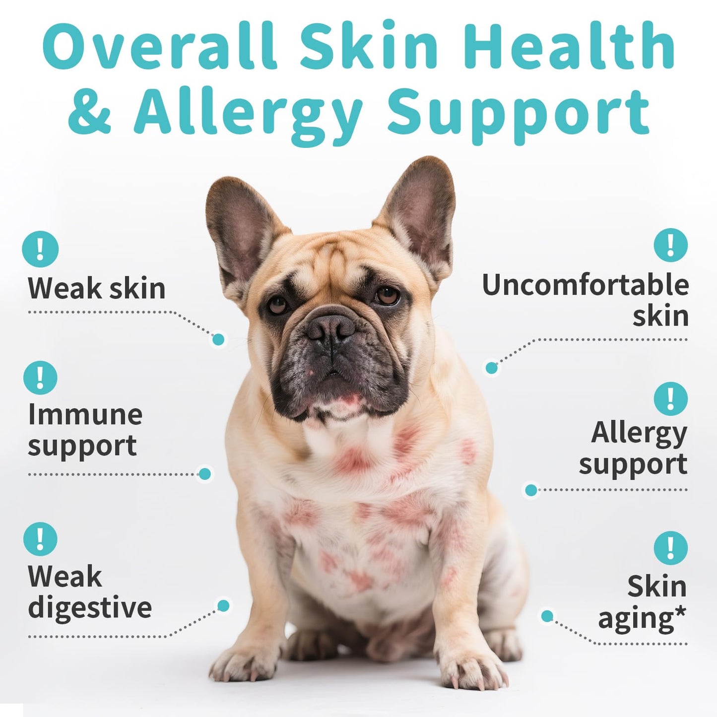 Skin & Allergy Care Supplement for Dog, Turmeric for Seasonal Sensitivity & Skin Nourishment Support - Rich in Probiotics, Omega-3 for Digestive & Gut Health Support - Chicken Flavor - 90 Count
