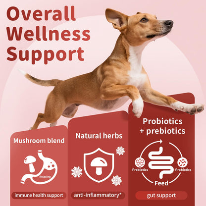 Dog Allergy Chews, Probiotics Supplement for Dogs Seasonal Allergies & Immune Support & Gut Health Pro, Mushroom Soft Chews for Joint, Energy, Itching Skin Support, Chicken Flavor - 90 Count